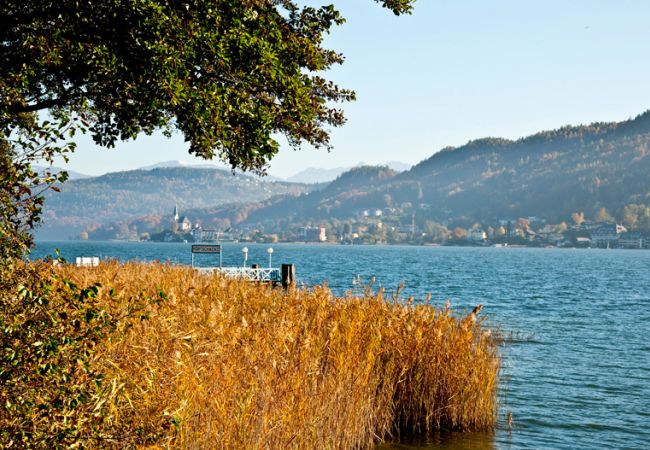 Landschaft rund um den Wörthersee